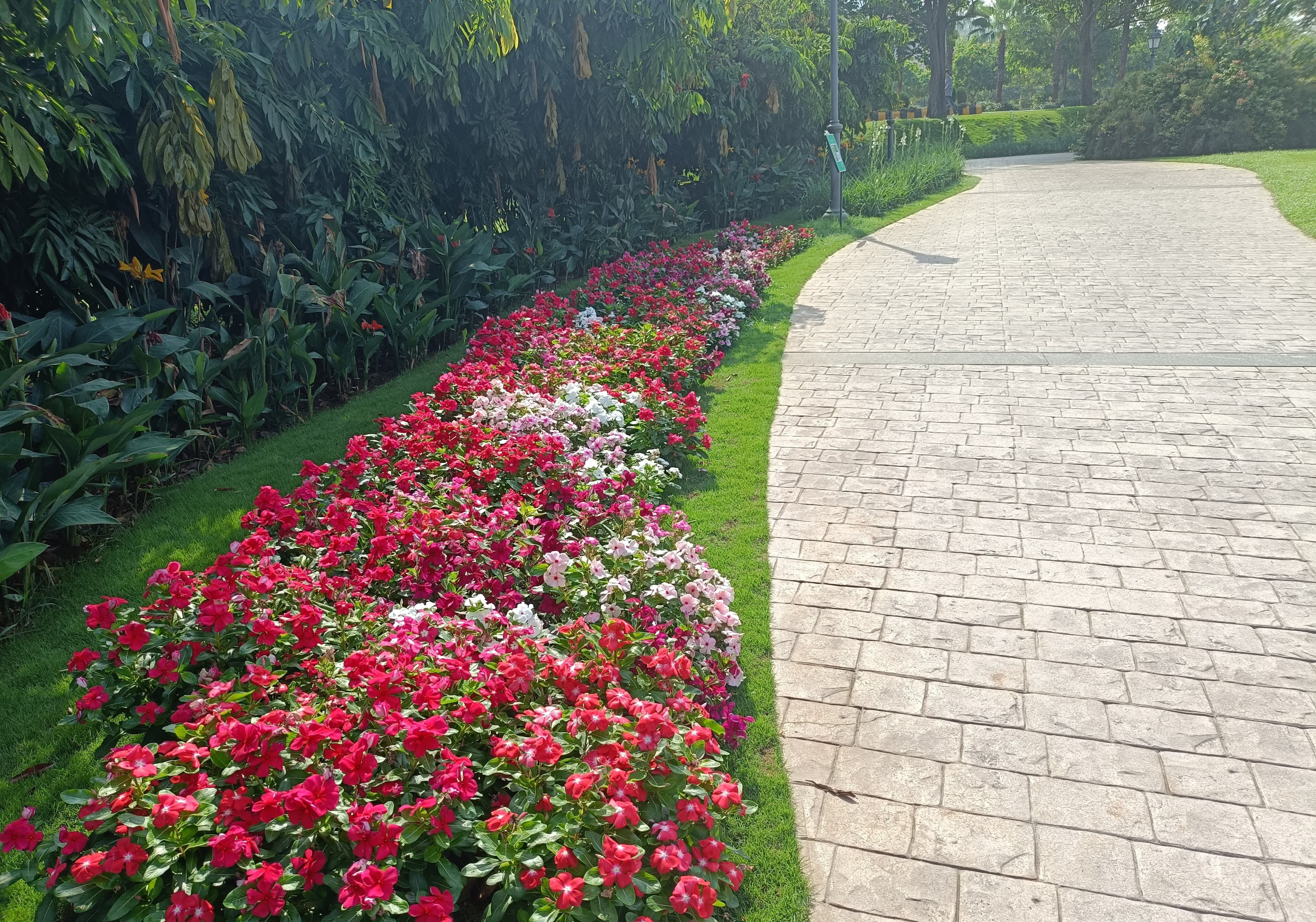 Pathways